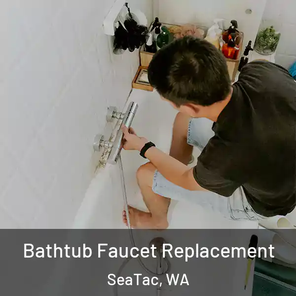  Bathtub Faucet Replacement SeaTac, WA