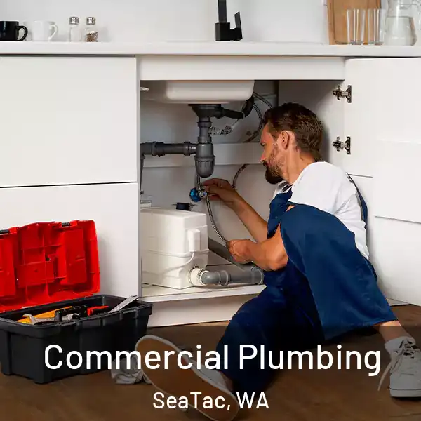  Commercial Plumbing SeaTac, WA