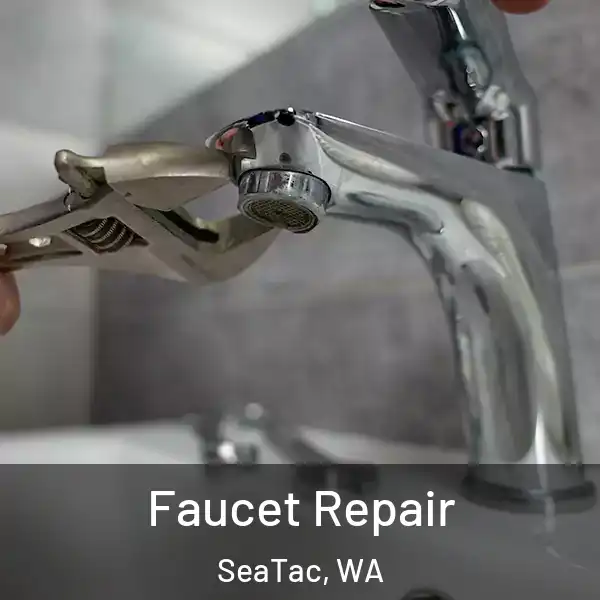  Faucet Repair SeaTac, WA