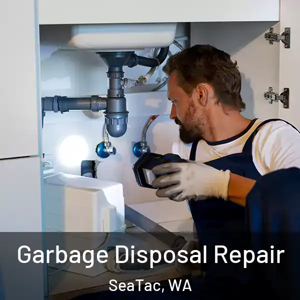  Garbage Disposal Repair SeaTac, WA
