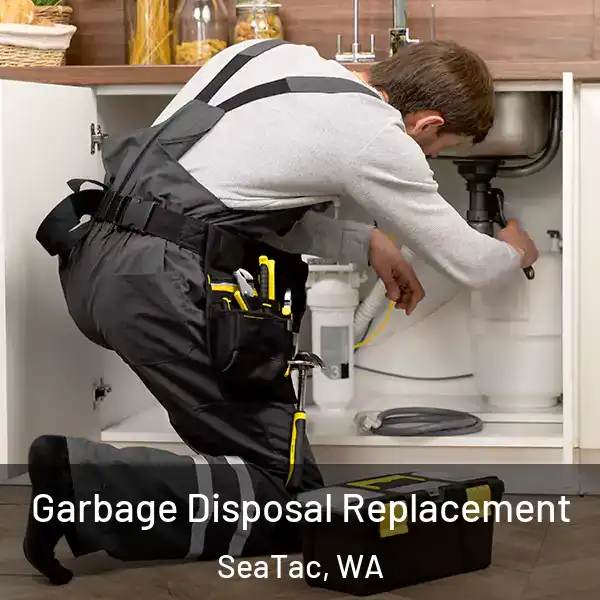  Garbage Disposal Replacement SeaTac, WA
