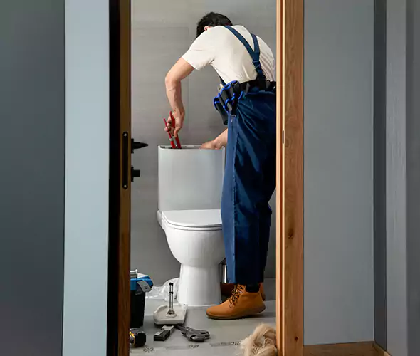 Professional Plumbers for Toilet Bowl Replacement in SeaTac, WA: Schedule Affordable Toilet Replacement Services With Us