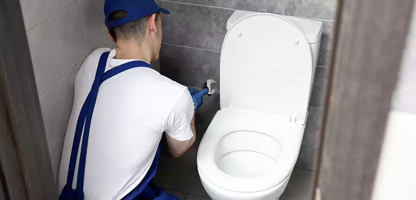 Toilet Lid Replacement in SeaTac