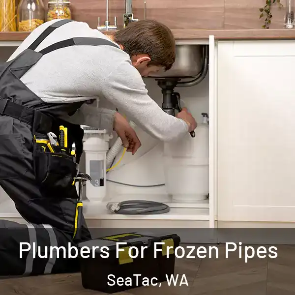  Plumbers For Frozen Pipes SeaTac, WA