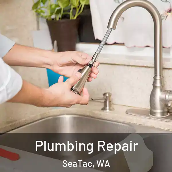  Plumbing Repair SeaTac, WA
