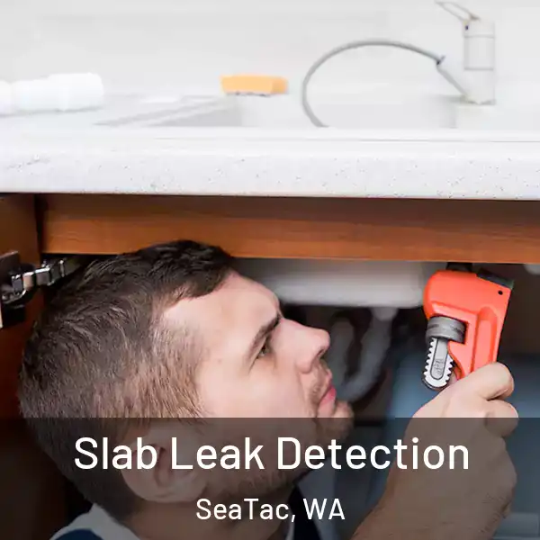  Slab Leak Detection SeaTac, WA