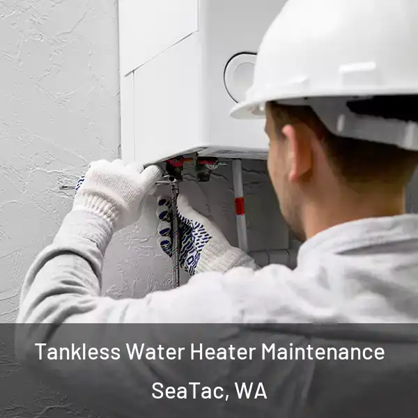  Tankless Water Heater Maintenance SeaTac, WA
