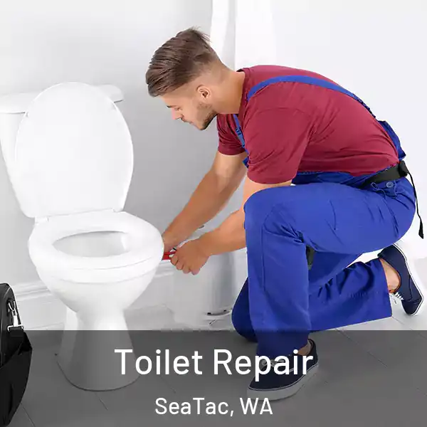  Toilet Repair SeaTac, WA